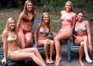 Spring Break Strippers Spring Break Strippers